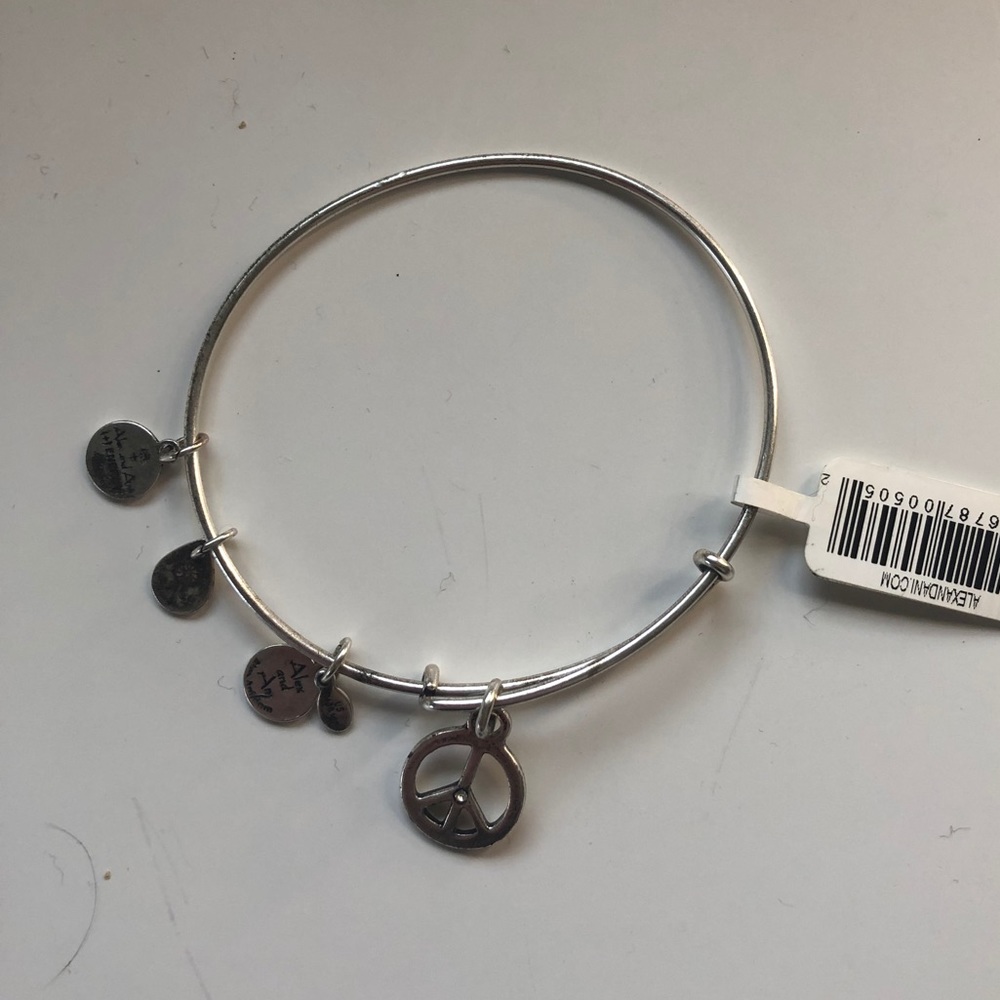 Alex and Ani Peace Charm Bracelet